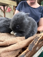 Oliebolletje✨🎀🩷's avatar