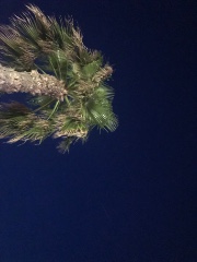 Lilou ❤️'s avatar