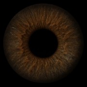 Sunshiiine✨️🎀's avatar