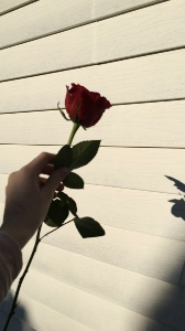 Thas my life's avatar