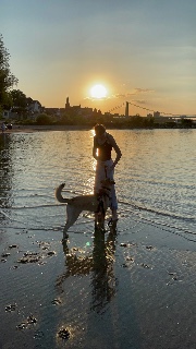 SpammtalleNorea's avatar