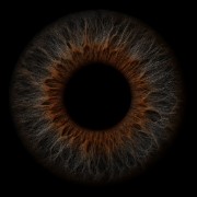 Maëlys✨🌸's avatar