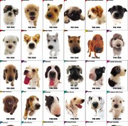 These Are Some Cute Dogs's avatar