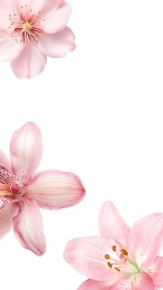 🪩 cleo! xₓ .˚◦○˚'s avatar