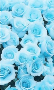 Vzy je t'écoute 's avatar