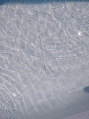 ~🌹Olivia🌹~'s avatar