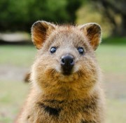 Einfach Ich...'s avatar