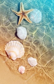 Léa 🌺🌴🌊☀️🥥's avatar