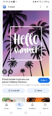 ✨️💎Alice e morgana🌸✨️'s avatar