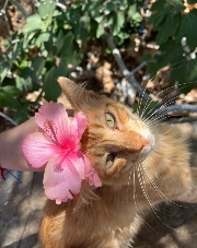 🌺 P 🌺's avatar