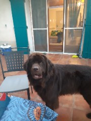 💫💦Manon💦💫's avatar