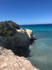 ✨🌸tell me🌸✨'s avatar