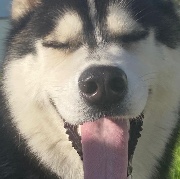 Blog do Yuki 💫's avatar