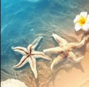 ✨Un Jour un Outfit✨'s avatar