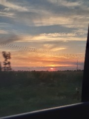 Maélou💛🥥✨'s avatar