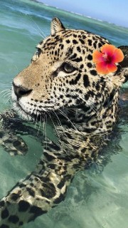 Mel🖇🍒's avatar