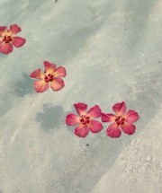 Miwaah_Jjk💙⚔️'s avatar