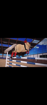 Haras du Vallat's avatar