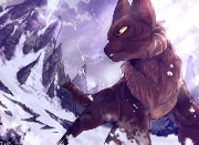 ~alise🧸🌺's avatar