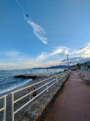 @almetta_13's avatar