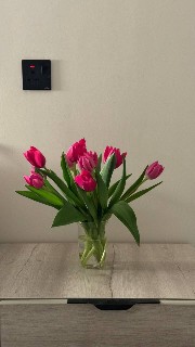 EvitaaLxy☆'s avatar