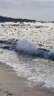 Yeli 🫶🏻's avatar