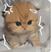 𝓙𝓮𝓼𝓼 ও💍𓃰's avatar