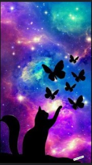 Camperleben's avatar