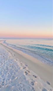 L🥥🫧🐴's avatar