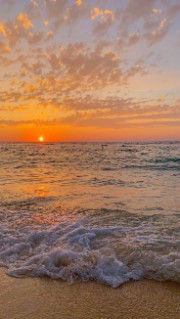 Nonieeeeeee's avatar