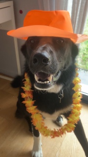 𝐋𝐞🫶💎𝐒💎🫶's avatar