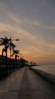 Littlepineapple's avatar