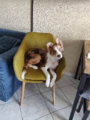 Our life as a rider 's avatar