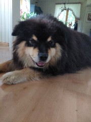 Jennysyeah😍's avatar