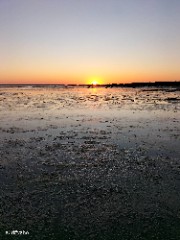 Auriane 🔥🐎's avatar