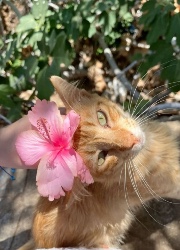 Luna 🪄🎀🪄🥞😁's avatar