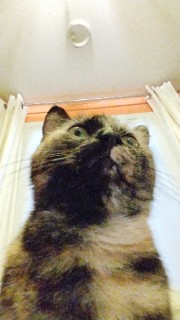 Juliiaaa82 's avatar