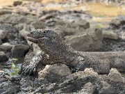 Mathis 🤪 🤪 🤪 's avatar