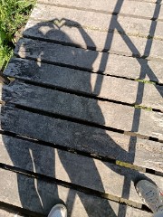 Mélinée✨️🌷💋's avatar