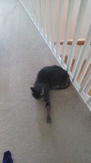 ෆ!!౨ৎ𝔪𝔞𝔦𝔞౨ৎ!!ෆ's avatar