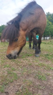 Juju✨️💍's avatar