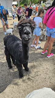 Lissy.Love ♥️🥰🫶✨ 's avatar