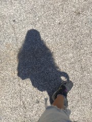 Mary🐚🌼's avatar