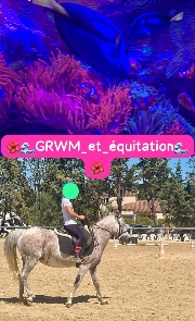 Chevaux 🐴 's avatar