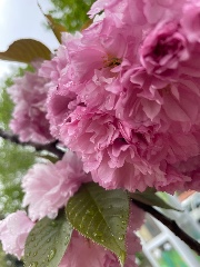 Piti colibri 😆🌺✨'s avatar