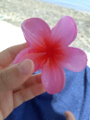 Cecilia 🫧's avatar