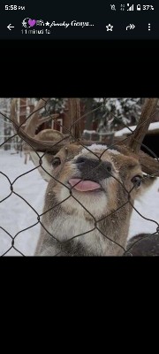 Genya spaccia angurie's avatar