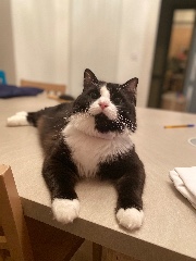 Evaaa 🤍🎧's avatar