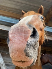 ✨☆_𝑪&𝑸_☆✨'s avatar