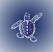 𝓔𝓮𝓱𝓪's avatar